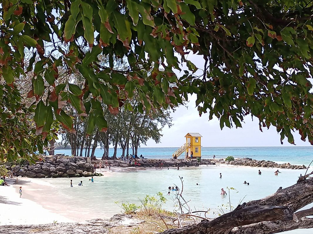 Short ride familiar ground