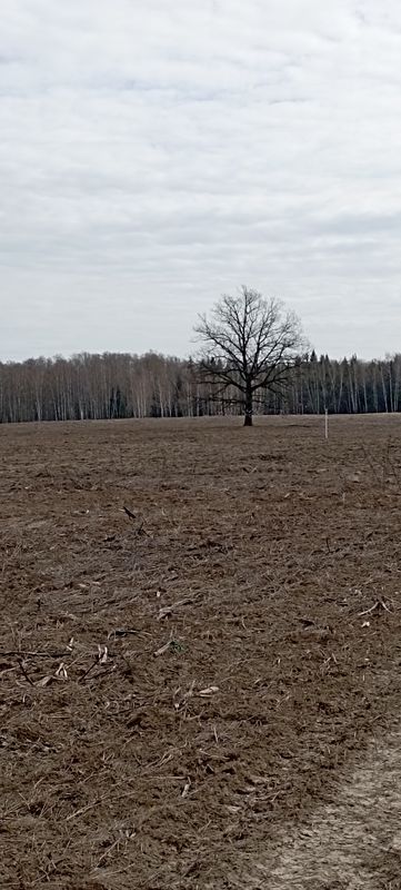От улица Заря 6, Агрогород до улица Заря 7б, Агрогород