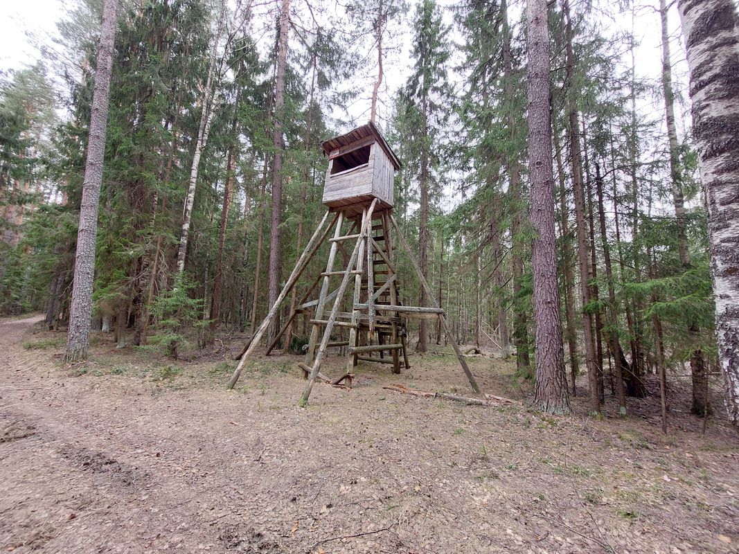 Ковров - Ельниково