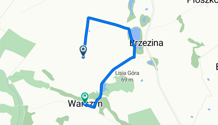 Strzelno, Dolice do Warszyn 38, Dolice