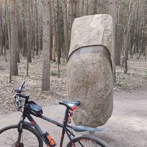 Photo 7 of the Bikemap route "От Аэрофлотская улица 4Д, Внуково до Аэрофлотская улица 2, Внуково"