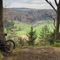 von Roggenbeuren zum Pfrunger Ried