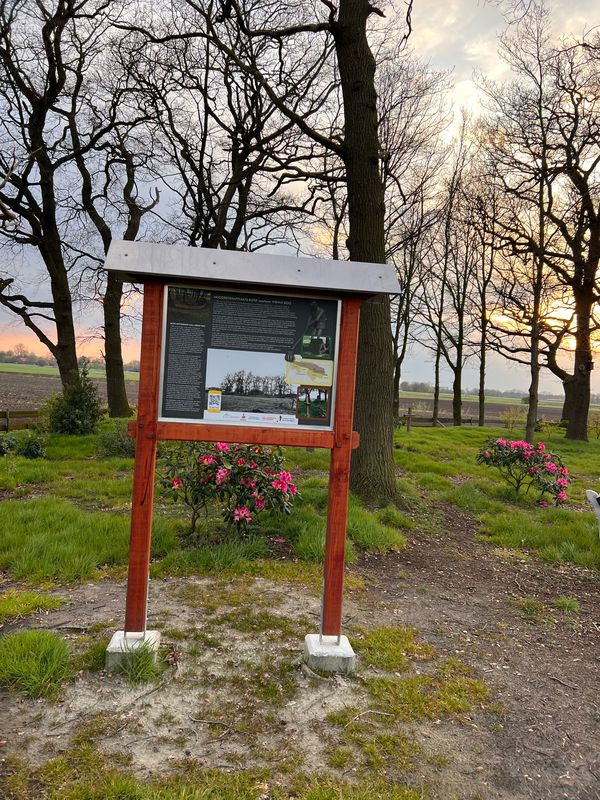 Hinrich-Wilhelm-Kopf-Straße 11, Ringe do Hinrich-Wilhelm-Kopf-Straße 11, Ringe