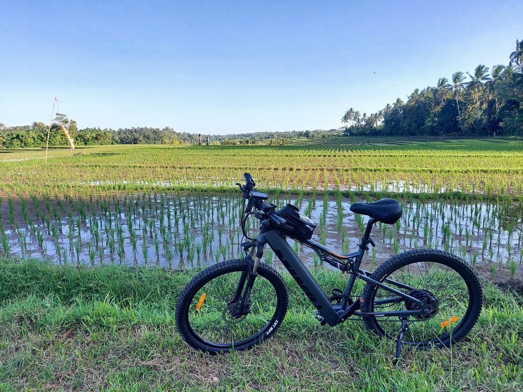 Jalan Megati-Bantas, Kecamatan Selemadeg Timur to F3X7+58C, Selemadeg Timur