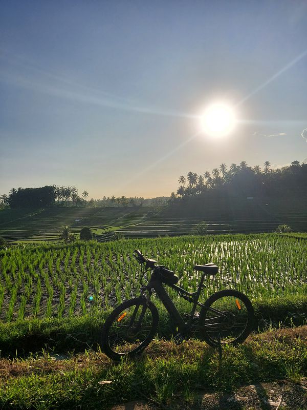 Jalan Megati-Bantas, Kecamatan Selemadeg Timur to F3X7+58C, Selemadeg Timur