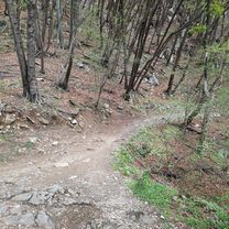 Foto 7 der Bikemap-Route "Pregassona - Cureggia - Vetta Bre - Pregassona"