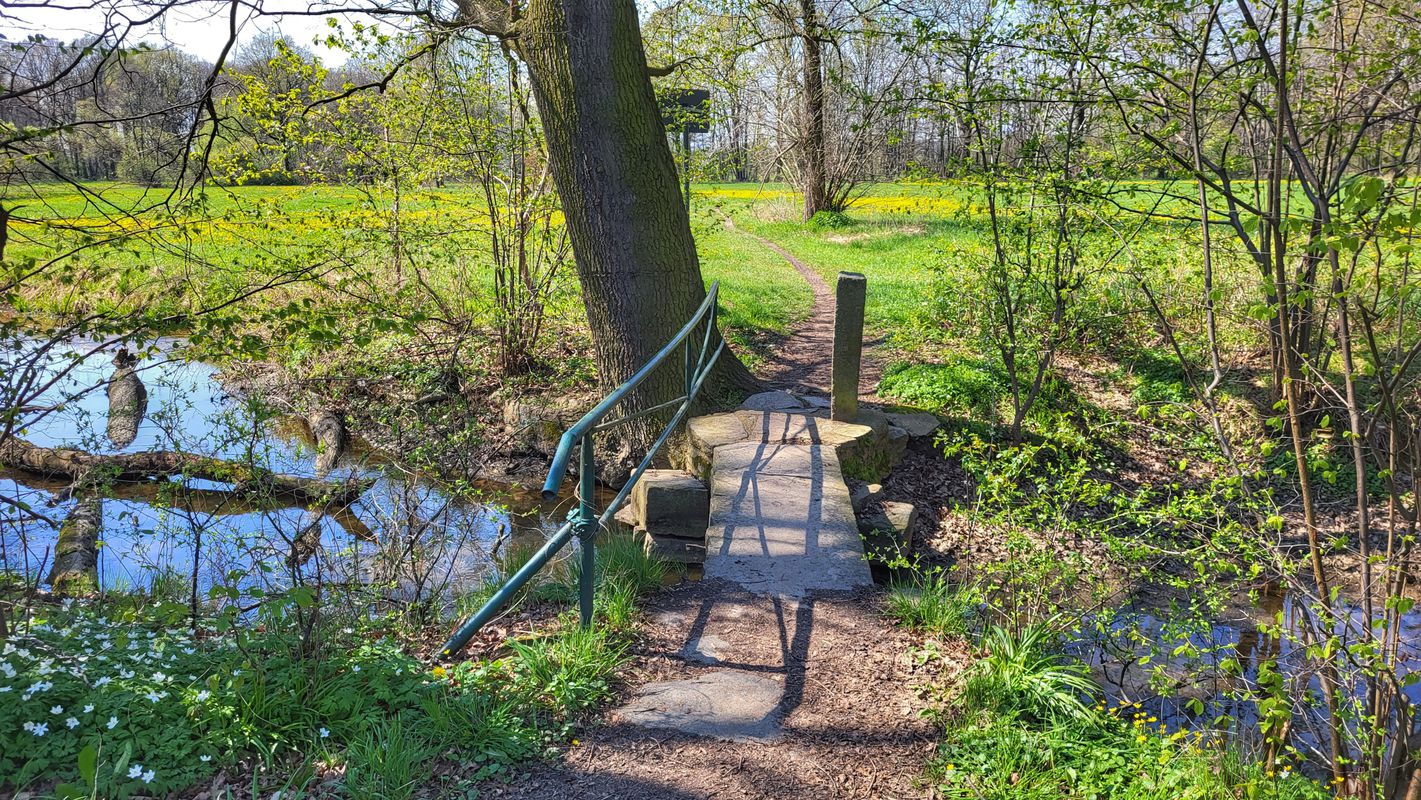 Die große Seeenrunde über Malschwitz