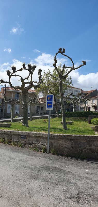 De Rúa Pena Trevinca 42, Ourense a Praza do Toural 12B, Vilar de Barrio