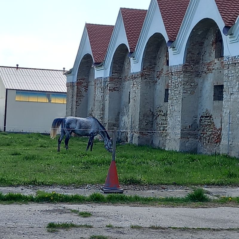 Vrádište-Kopčany -Boričky2