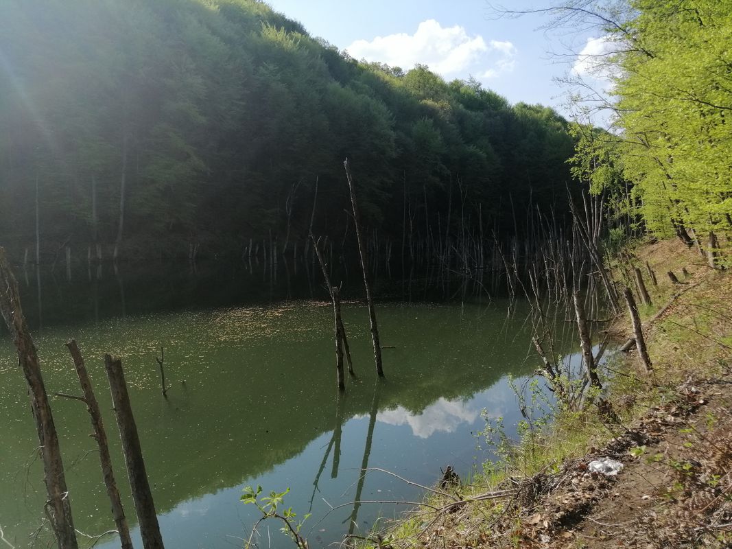 Alekse Šantića 51, Tuzla to Izeta Sarajlića 2, Tuzla