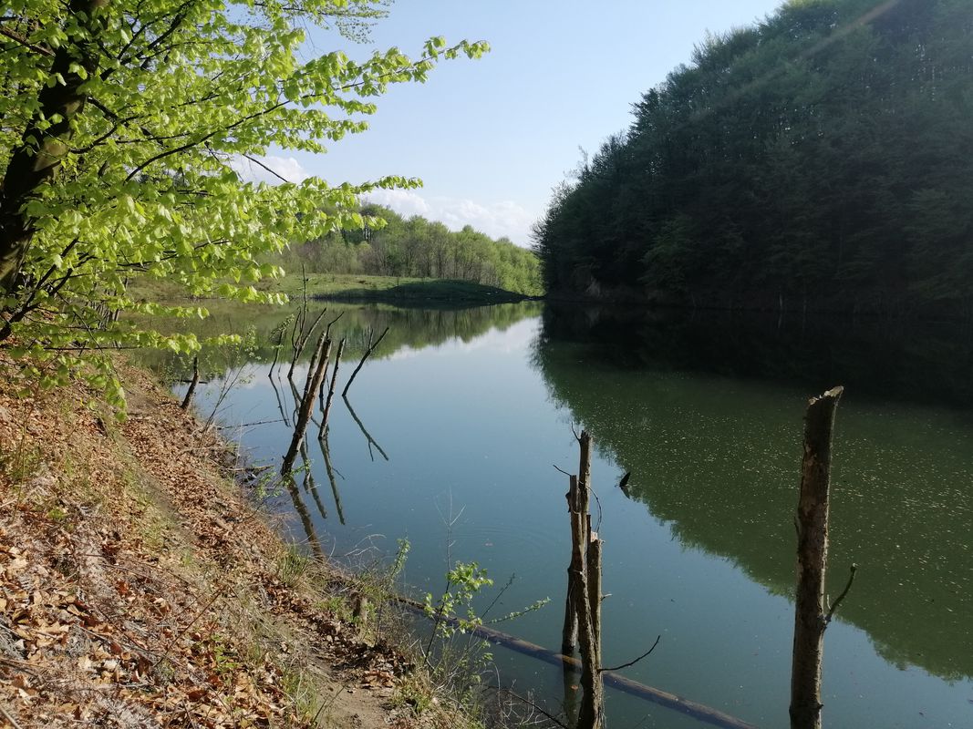 Alekse Šantića 51, Tuzla to Izeta Sarajlića 2, Tuzla