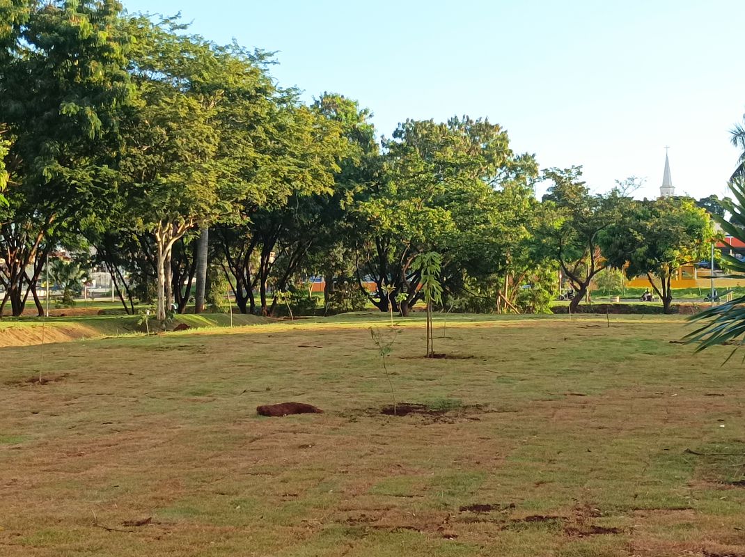 Primeira rota