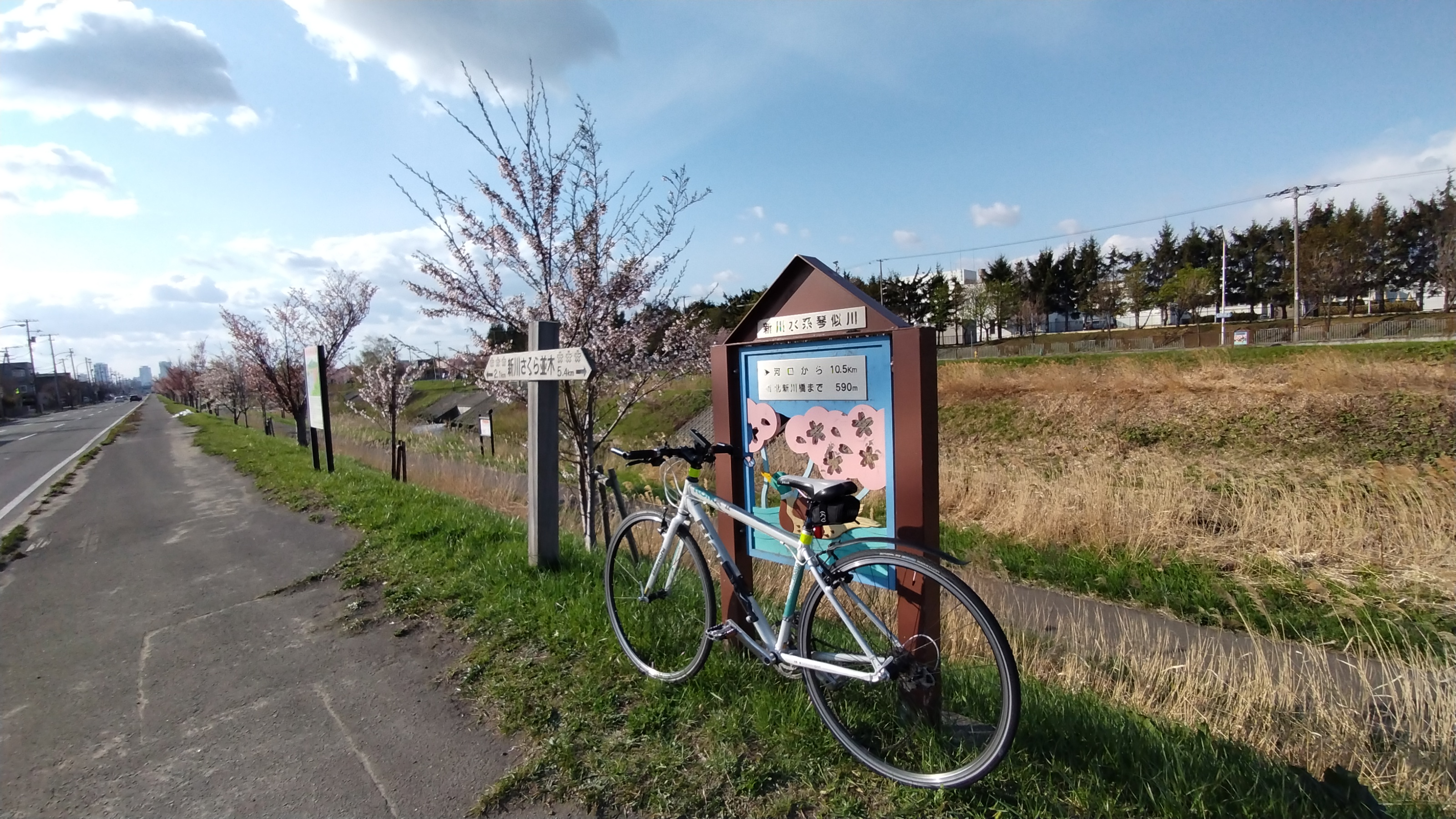 トップス bicycle route to BBS wake.sapporo ver. L 8.2SAT 1PM @wake.sapporo 💈bicycle route to BBS