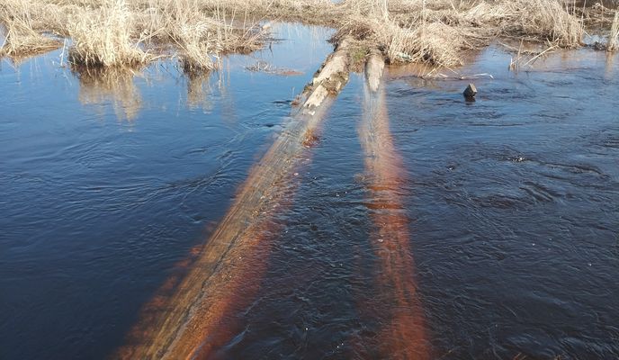 Photo 2 of the Bikemap route "старая деревня-шалаш Ленина-дибуны" Photo 2 of the Bikemap route "старая деревня-шалаш Ленина-дибуны"