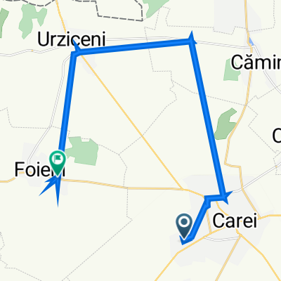 Strada Tăbăcarilor 30, Carei - Strada Careiului 19, Foieni