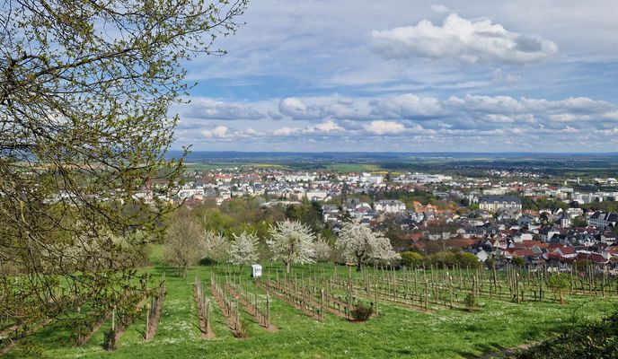 Photo 1 of the Bikemap route "Eleonorenring 45, Bad Nauheim nach Schillerstraße 2, Bad Nauheim"