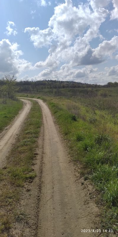 ангарыч