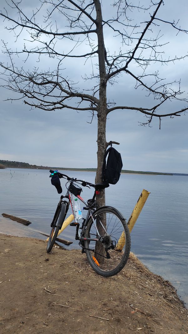 Foto 3: Алексей Яхременко