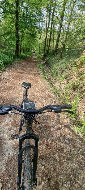 PasseioMatinal 🚲