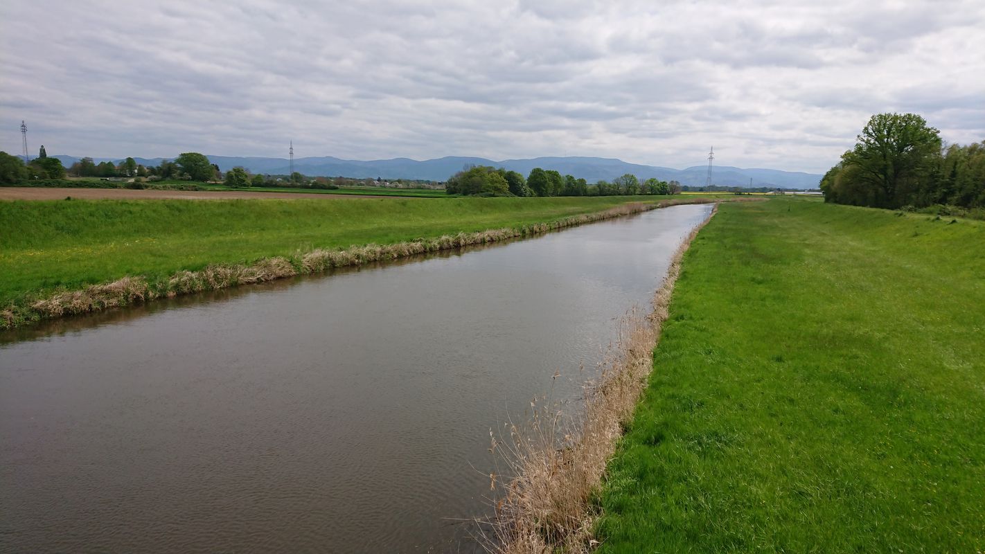 Rheinau - entspannte Runde an der Rench und dem Rhein