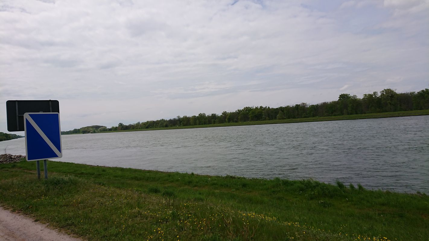 Rheinau - entspannte Runde an der Rench und dem Rhein