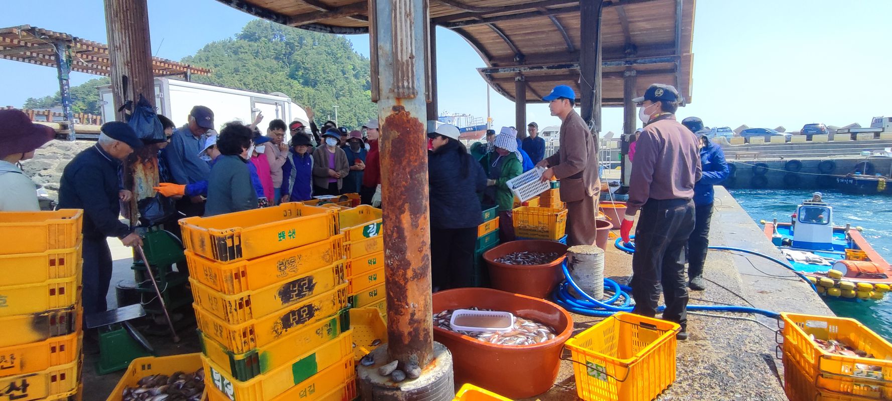 근로자의 날, 서귀포시