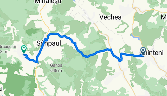 Strada 21 Decembrie 48, Chinteni - DC143 11, Şardu