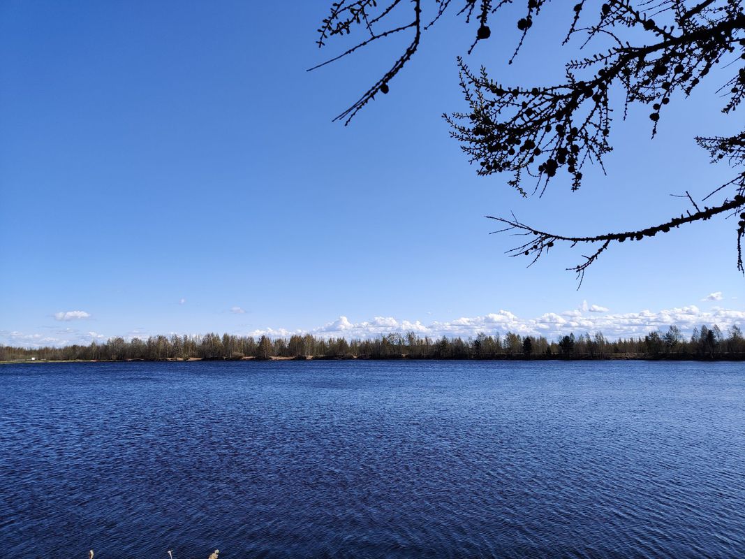 От Ораниенбаумское шоссе, Санкт-Петербург до Халтурина улица 15 корпус 2, Санкт-Петербург