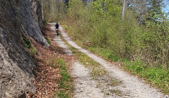 Photo 2 of the Bikemap route "Blumana-Noua-Forestier Crucur-Timisul de Jos și retur"