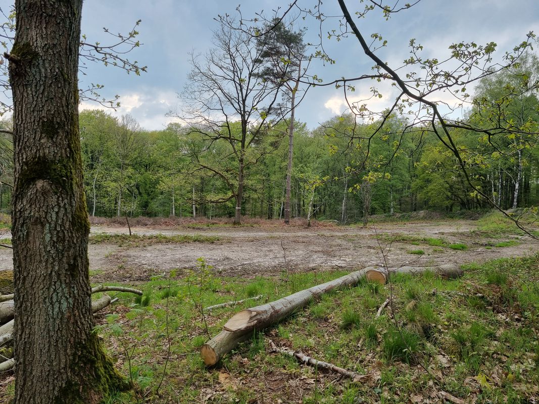 découverte Ittre Virginal, bois de la Houssiere, Tubize