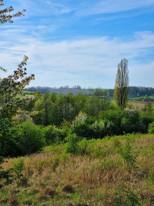 Tęczowa 2, Zawonia do Spokojna 15, Zawonia