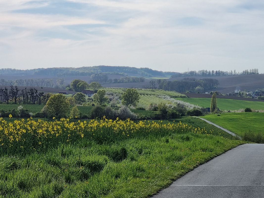 Tęczowa 2, Zawonia do Spokojna 15, Zawonia