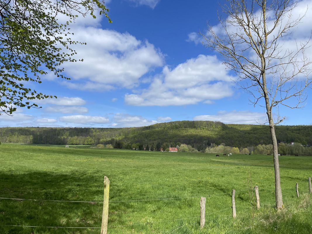Evessen - Elmrand - Reitling - Elmrand