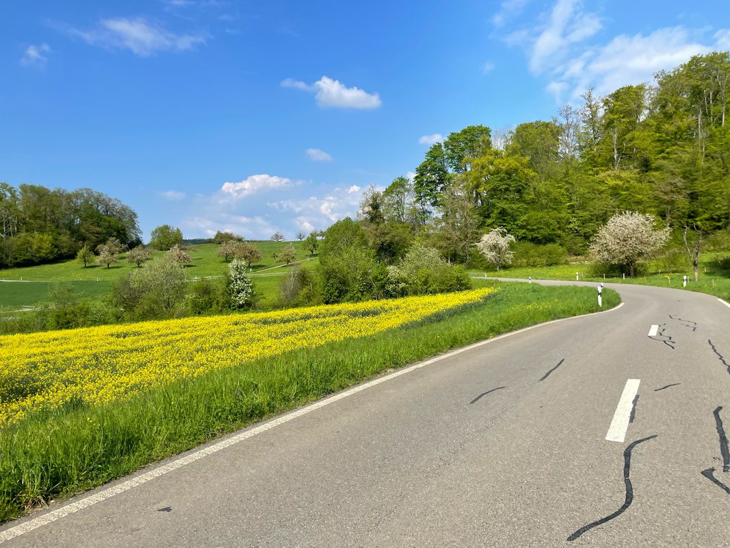Basel-Hagethal-Oltige-Blochmont-Bourg-Därwil
