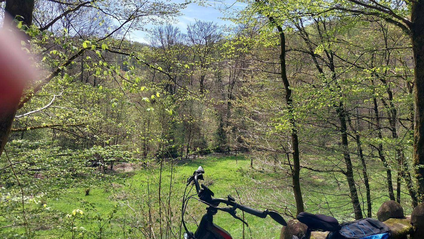 Michelbach bis Steinebach/Wied zurück über  Berod