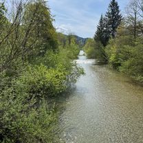 Schwerzenbach - Camping Seehorn Egnach