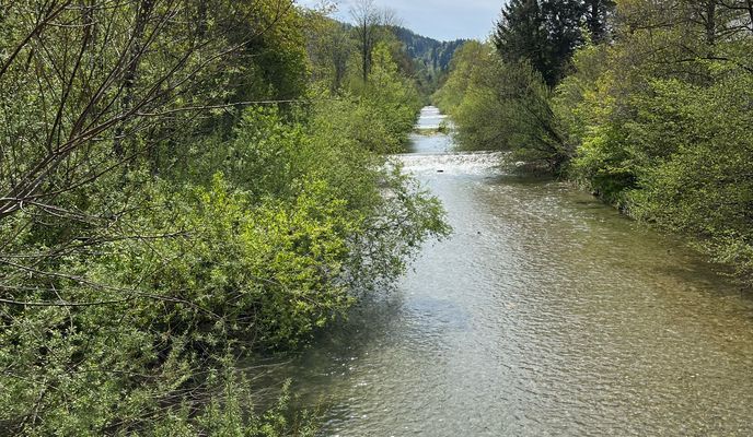 Foto 1 der Bikemap-Route "Schwerzenbach - Camping Seehorn Egnach"