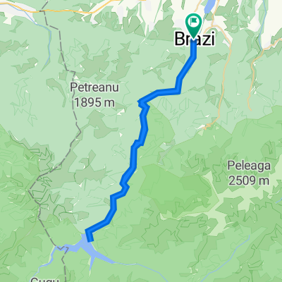 Retezat: Brazi - Baraj Gura Apelor