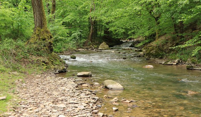 Photo 1 of the Bikemap route "Fenes-i völgy 23"