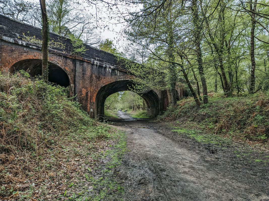 Castleman's Corkscrew - Old Railway Cycle Route from Brockenhurst to Burley