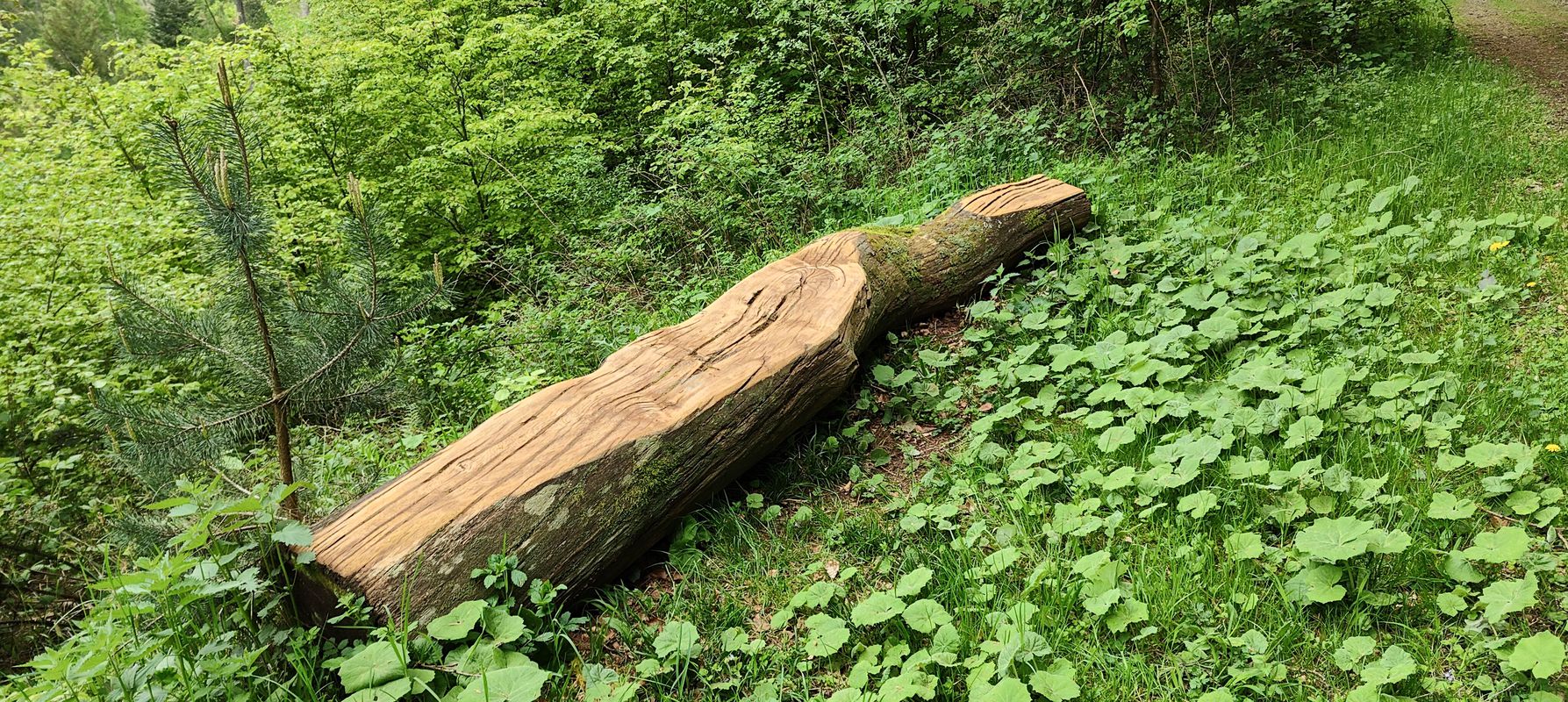 Lägernstrasse 4, Boppelsen do Otelfingerstrasse 2, Boppelsen