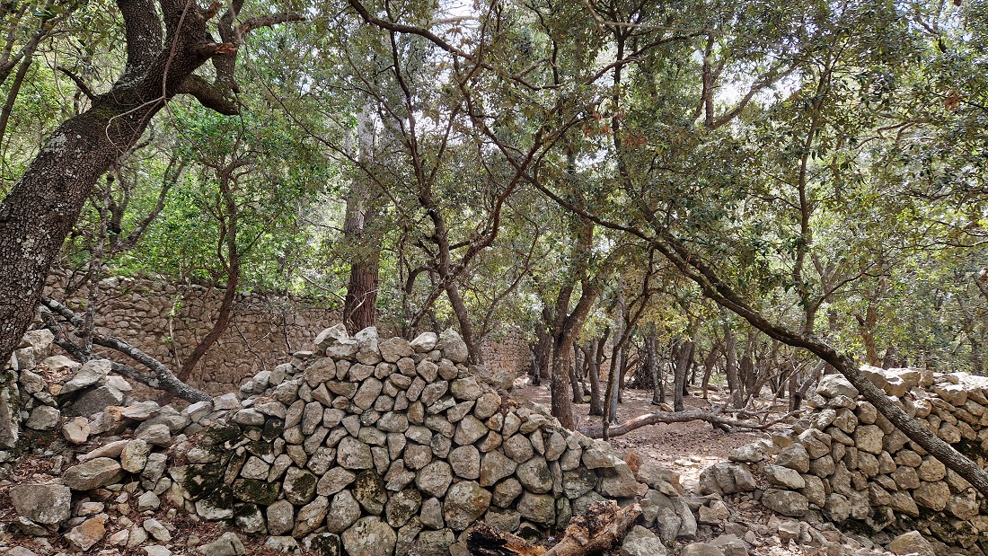 Mallorca a peu: passeig a l'est de ca madò Pilla