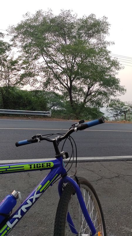 Paseo tranquilo