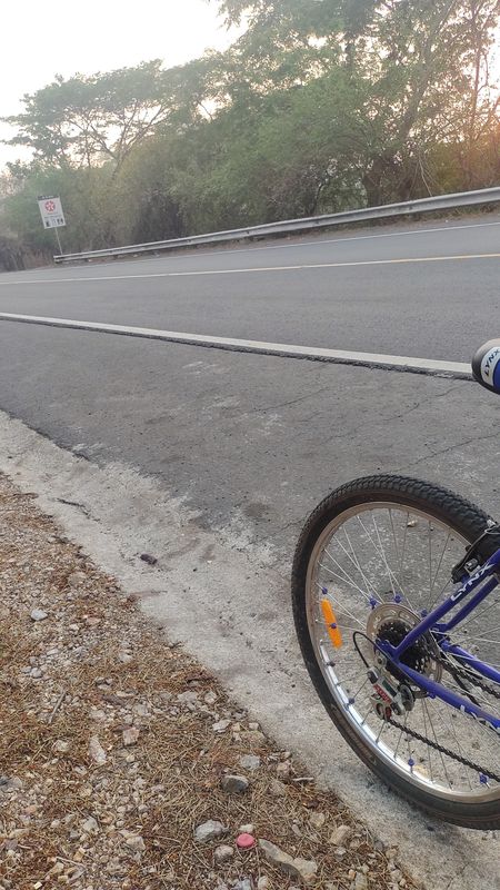 Paseo tranquilo