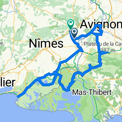 avignon