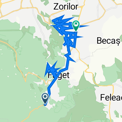 Strada Făgetului 37, Cluj-Napoca to Calea Turzii 237, Cluj-Napoca