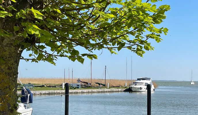 Photo 1 de l’itinéraire Bikemap « von Zingst nach Ahrenshoop und zurück »