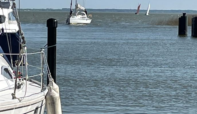 Photo 2 de l’itinéraire Bikemap « von Zingst nach Ahrenshoop und zurück »