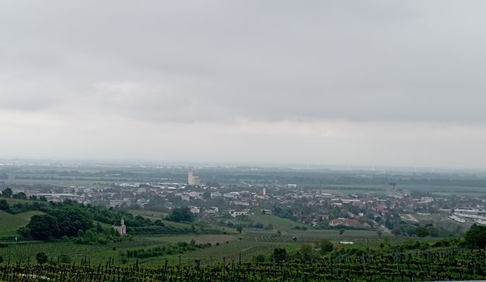 Photo 1 of the Bikemap route "Up down and around Gumpoldskirchen"