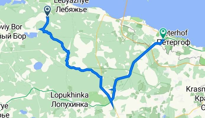 От 41К-137 до Старый Петергоф, Санкт-Петербург